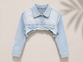 Skyline Distressed Denim Jacket
