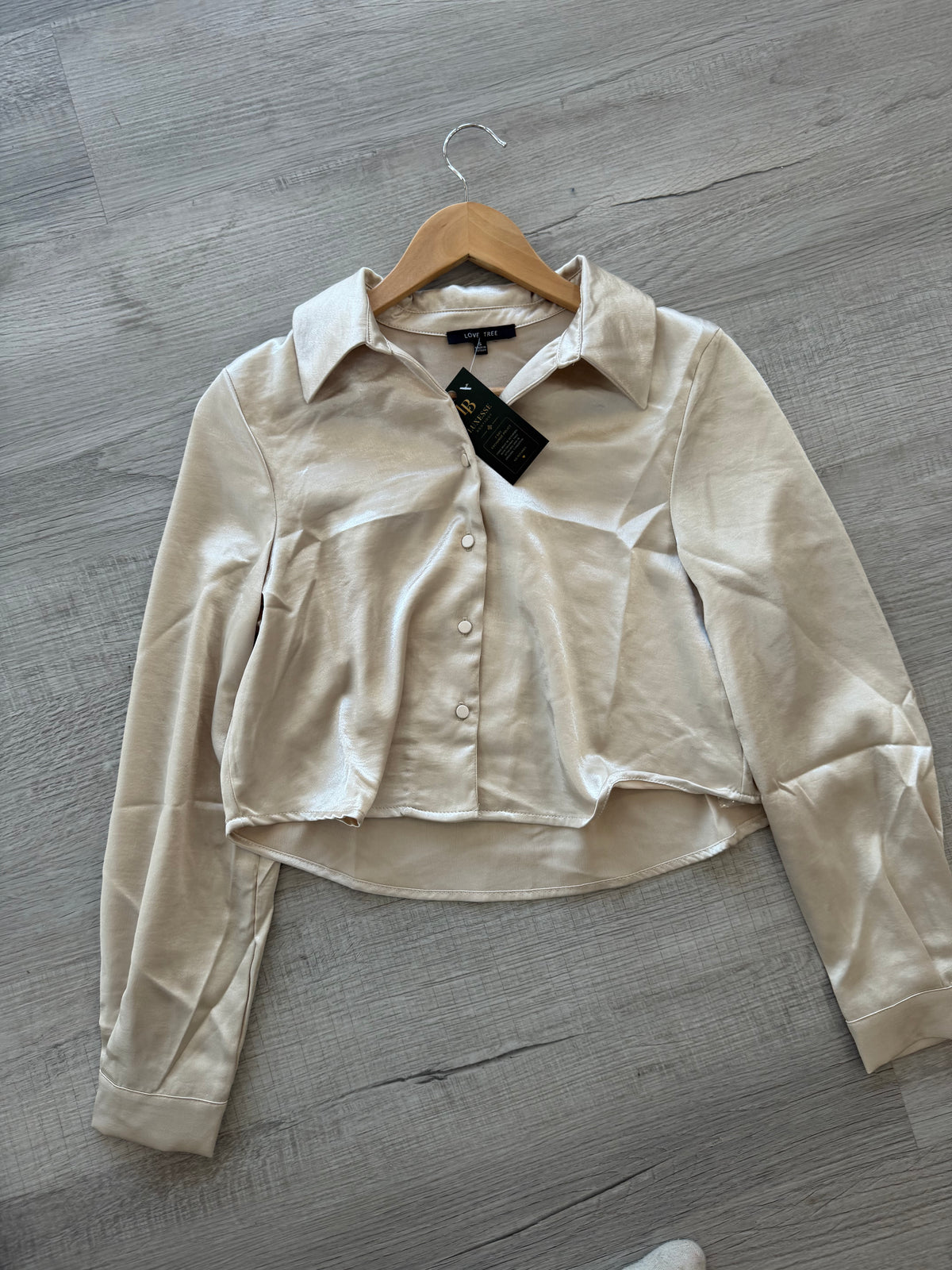 Satin Cropped Button-Up Blouse